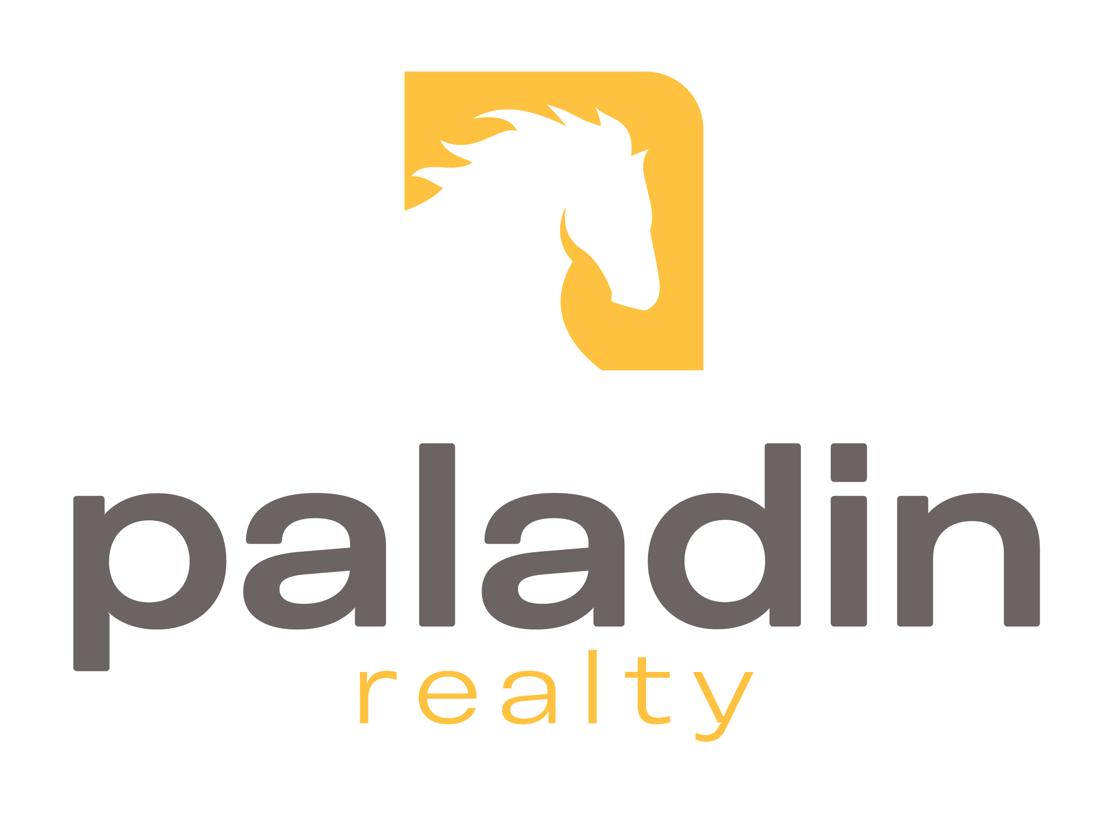 PALADIN Logotype Vertical-01